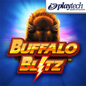 Buffalo Blitz image